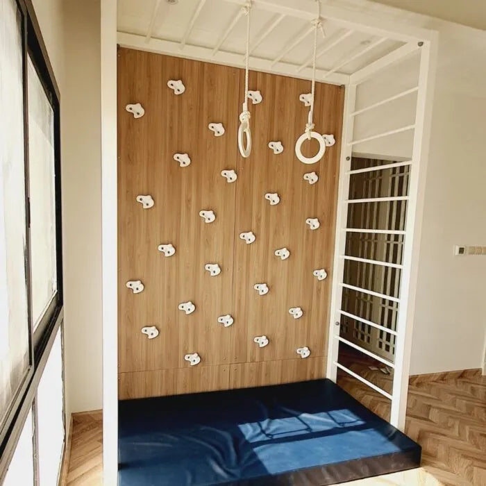 Climbing Wall Panel